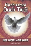 Religia i religioznawstwo - Niech zstąpi Duch Twój - cykl trzyletni w.2025 - miniaturka - grafika 1