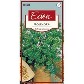 Nasiona i cebule - Kolendra siewna 3 g Eden - miniaturka - grafika 1