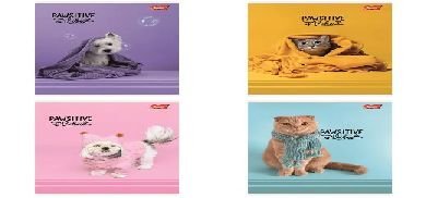 Paczka Zeszyt A5 32K.Linia Dwukolorowa Okładka Laminowana Pawsitive Vibes Mix 15 Sztuk