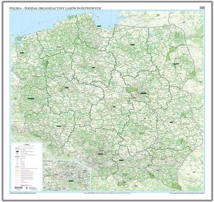 EkoGraf, Polska - podział organizacyjny Lasów Państwowych mapa ścienna na podkładzie w drewnianej ramie, 1:500 000 - Mapy i plansze edukacyjne - miniaturka - grafika 1