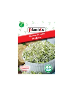 Plantico KIEŁKI Brukiew nasiona 10g 03207 - Nasiona i cebule - miniaturka - grafika 1