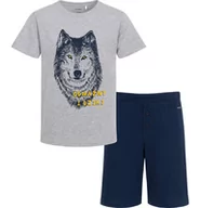Piżamy chłopięce - Piżama z krotkim rękawem dla chłopca, z wilkiem, szara, 3-8 lat - miniaturka - grafika 1