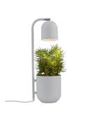 Lampy stojące - Kaspa Lampa stołowa Botanica 40843108 nowoczesna szara oprawa z doniczką 40843108 - miniaturka - grafika 1