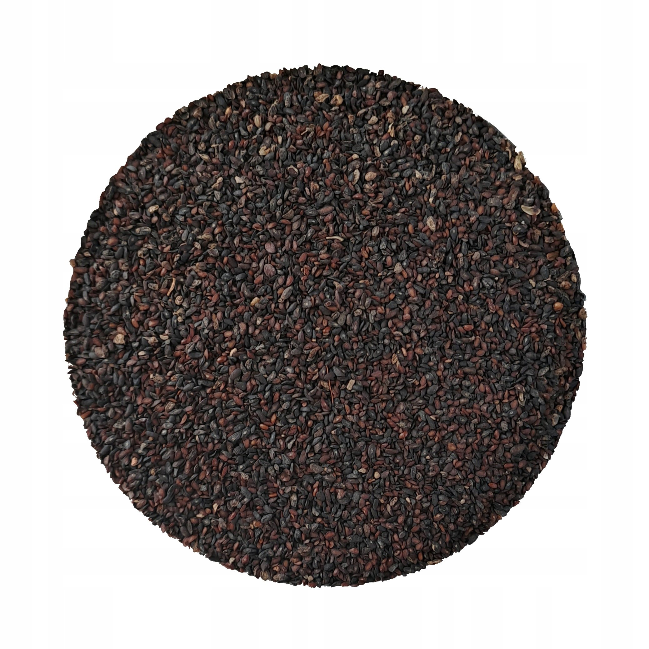 Nasiona babki jajowatej Babka jajowata nasiona Che Qian Zi Plantaginis 500g