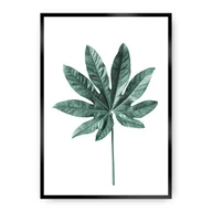 Plakaty - Dekoria Dekoria Plakat Leaf Emerald Green 40 x 50 cm Ramka Czarna 221C-000-01 - miniaturka - grafika 1