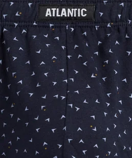 SLIPY ATLANTIC 3MP-166 WL24 (kolor szary, rozmiar M) - Majtki męskie - miniaturka - grafika 1