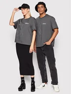 Koszulki i topy damskie - 2005 T-Shirt Unisex Horned Szary Relaxed Fit - miniaturka - grafika 1