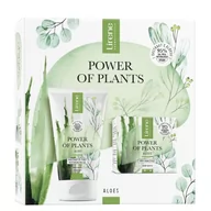 Żele do mycia twarzy - Lirene - Power of Plants Aloe - Zestaw prezentowy - Nawilżający żel myjący 150 ml + Krem nawilżający 50 ml - miniaturka - grafika 1