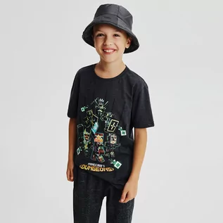 Koszulki dla chłopców - Reserved - T-shirt oversize Minecraft - Jasny szary - grafika 1