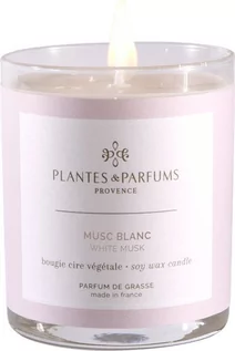 Świece - PLANTES&PARFUMS PROVENCE Świeca zapachowa perfumowana - White Musk - Białe piżmo 070234 - grafika 1