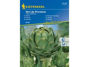 Karczoch zwyczajny Vert de Provence wieloletni nasiona Kiepenkerl - Nasiona i cebule - miniaturka - grafika 1
