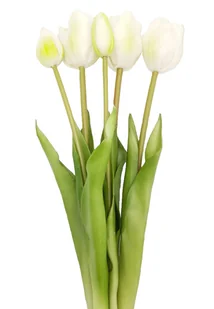 Tulipany silikonowe jak żywe białe zielone bukiet 7 sztuk gumowe 44 cm zamknięte - Sztuczne kwiaty - miniaturka - grafika 1