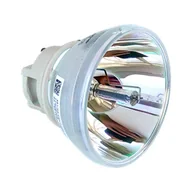 Lampy do projektorów - Lampa do OPTOMA HD27H - zamiennik oryginalnej lampy bez modułu - miniaturka - grafika 1