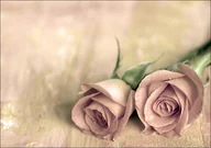 Plakaty - Galeria Plakatu, Plakat, Samotne róże, 91,5x61 cm - miniaturka - grafika 1