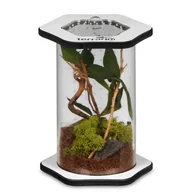 Terraria - Terrario Spiders Tube Tall100 - Terrarium Akrylowe - miniaturka - grafika 1
