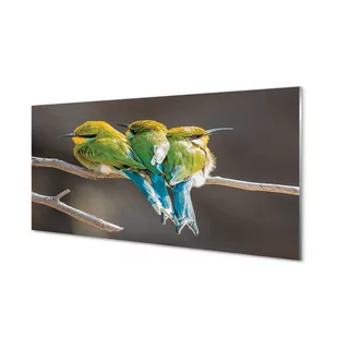 Nowoczesny panel szklany Ptaki na gałęzi 120x60 cm - Dekoracje domu - miniaturka - grafika 1