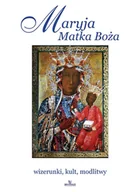 Religia i religioznawstwo - Maryja Matka Boża. Wizerunki, kult, modlitwy - miniaturka - grafika 1