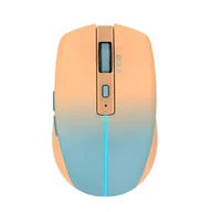 Myszki - Inca IWM-511RT RF Wireless + Bluetooth + USB Type-C Optyczny 1600 DPI - miniaturka - grafika 1