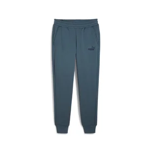 Męskie Spodnie PUMA ESS LOGO PANTS FL CL (S) 58671537 – Szary - Spodnie męskie - miniaturka - grafika 1