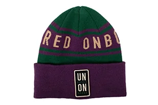 EIVY Czapka damska League Beanie, Zielony i fioletowy, Rozmiar uniwersalny - Czapki damskie - miniaturka - grafika 1