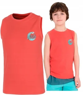 4F CHĹOPIÄCA KOSZULKA BEZRÄKAWNIK BAWEĹNA / rozm 158 - Koszulki męskie 4F CHĹOPIÄCA KOSZULKA BEZRÄKAWNIK BAWEĹNA / rozm 158 - Koszulki męskie - miniaturka - grafika 1