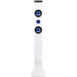 TREVI XT 101 - Power audio - miniaturka - grafika 1