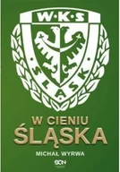 Felietony i reportaże - W cieniu Śląska - miniaturka - grafika 1