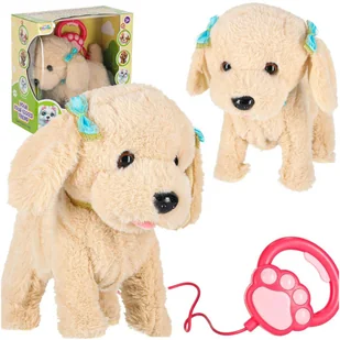 Interaktywny Piesek Pudel na Smyczy Pluszowa Maskotka Zabawka z Dźwiękiem - Zabawki interaktywne dla dzieci - miniaturka - grafika 1