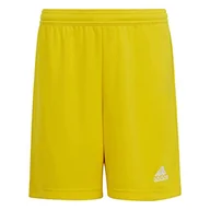 Spodenki damskie - adidas Ent22 SHO Y szorty Unisex - miniaturka - grafika 1