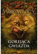 Fantasy - Gorejąca gwiazda. - miniaturka - grafika 1