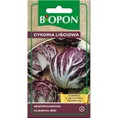 Nasiona i cebule - Nasiona cykoria liściowa Palla Rossa (Radicchio) 1,5 g BIOPON - miniaturka - grafika 1