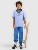 Spodnie i spodenki dla chłopców - 4F Spodnie dresowe joggery chłopięce - niebieskie 164 (13-14 lat) - miniaturka - grafika 1