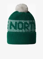 Czapki męskie - Czapka zimowa The North Face Retro Cabin Beanie - evergreen/white dune - miniaturka - grafika 1