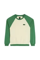 Bluzy męskie - Vans Bluza Męska Core Basic Raglan w Fair/Lemon VN000HNVE4T1 XL - miniaturka - grafika 1