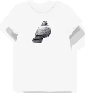 Koszulki i topy damskie - Koszulka damska biała z nadrukiem gołębich piór w szarości XXL - miniaturka - grafika 1