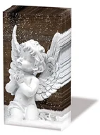 Apteczki i materiały opatrunkowe - Ambiente, Chusteczki Do Nosa 10Szt., Angel (21,5X22Cm) - miniaturka - grafika 1