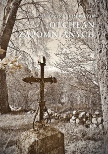 Otchłań zapomnianych - Kryminały - miniaturka - grafika 1