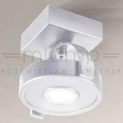 Lampy sufitowe - Shilo plafon reflektorek) LED Sakura IL 10W 1000lm 3000K biały 7293 - miniaturka - grafika 1