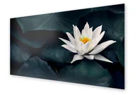 Dekoracje domu - Panel kuchenny HOMEPRINT Biały kwiat lotosu 125x50 cm - miniaturka - grafika 1