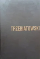 Książki o kulturze i sztuce - Janusz Trzebiatowski Malarstwo pastelowe - miniaturka - grafika 1