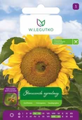 Nasiona i cebule - Nasiona Słonecznik jadalny 10g - W.Legutko - miniaturka - grafika 1