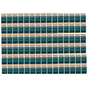 Układ pokarmowy - Himalaya Zestaw Cystone Suplement diety 100 x 100 tab. - miniaturka - grafika 1