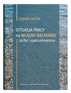 Ekonomia - Sytuacja pracy na własny rachunek: cechy i.. - miniaturka - grafika 1