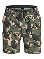 Spodenki damskie - Quiksilver Męskie szorty kąpielowe dla płazów, brązowe, S - miniaturka - grafika 1