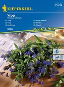 Nasiona i cebule - Hyzop Lekarski Ysop 8588 (St) - miniaturka - grafika 1