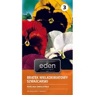 Nasiona i cebule - Bratek ogrodowy wielkokwiatowy szwajcarski mix 0,5 g Eden - miniaturka - grafika 1