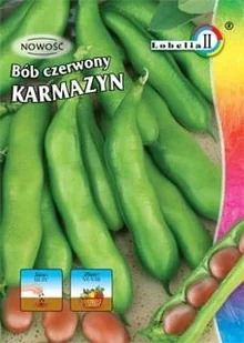 Bób Karmazyn 40g / L / - Nasiona i cebule - miniaturka - grafika 1