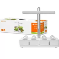 Lampy stojące - LEDVANCE LEDVANCE Indoor Garden Kit 450WT lampa do kwiatów - miniaturka - grafika 1