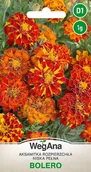 Nasiona i cebule - Aksamitka Rozpierzchła niska Bolero 1g nasiona - WegAna - miniaturka - grafika 1
