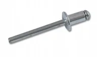 Nitownice - Nit, Nity Zrywalne Aluminiowe 5,0X6 50Szt - miniaturka - grafika 1